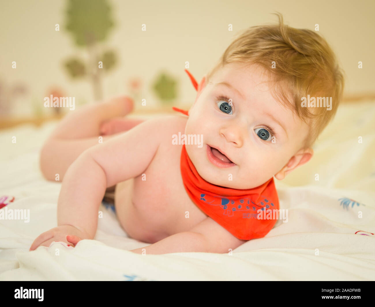 Junge, 6 Monate alt Foto Stock