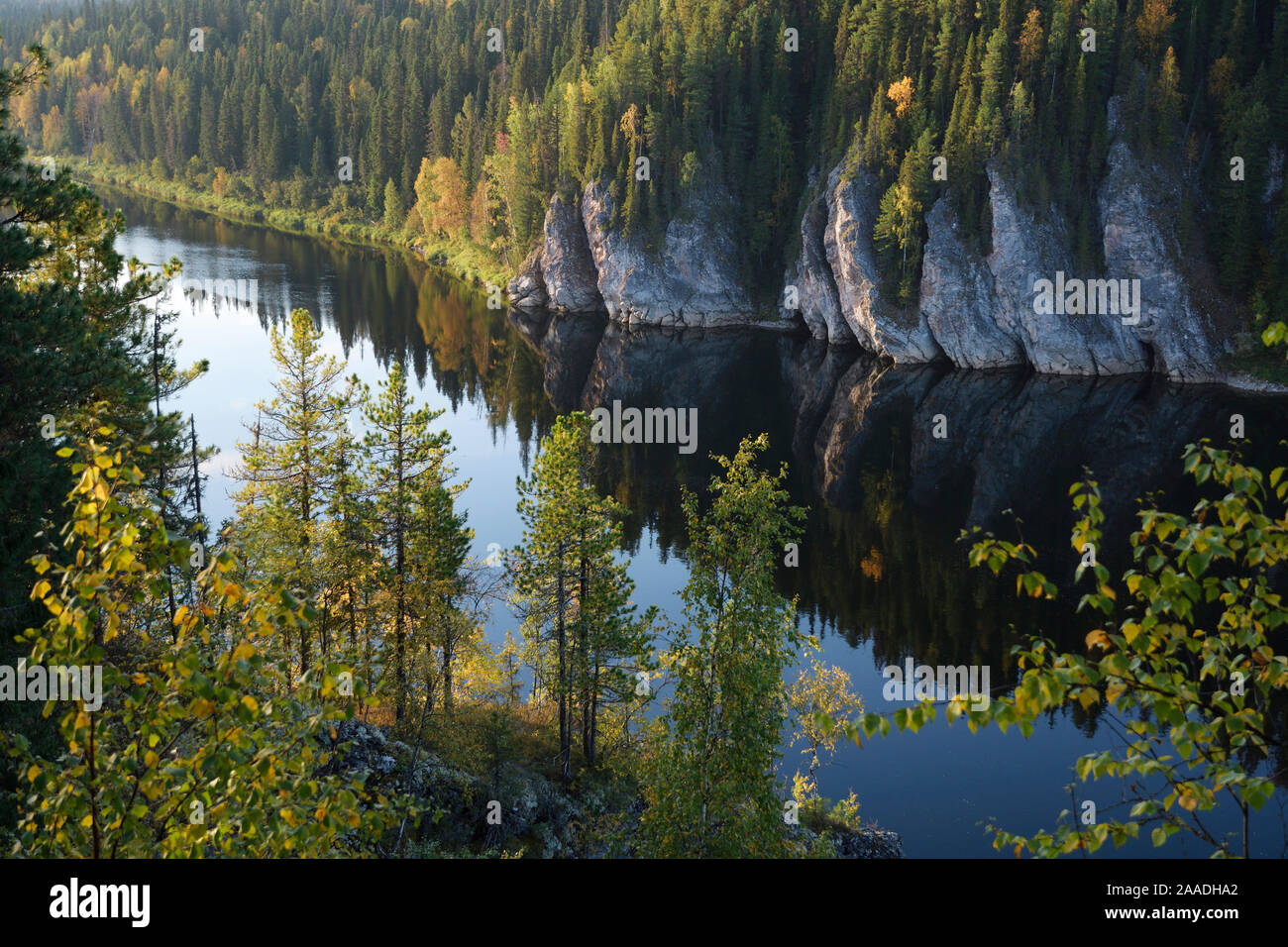 Fiume attraverso la foresta vergine di Komi sito Patrimonio Mondiale dell'UNESCO, il più grande di foreste vergini in Europa. Monti Urali, Repubblica di Komi, Russia. Agosto 2016 Foto Stock