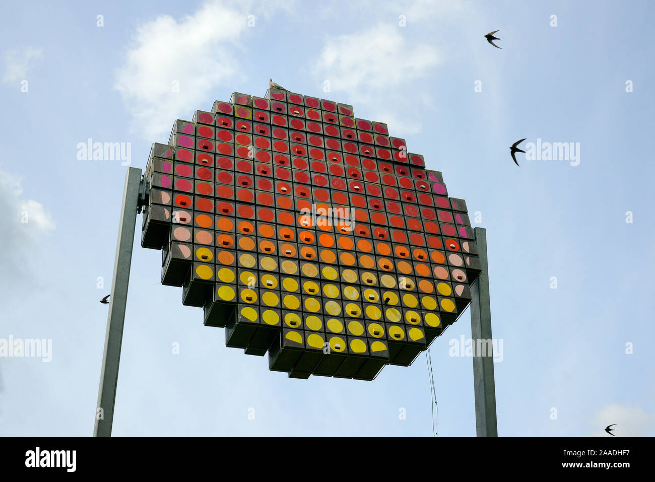 Torre di Swift con scatole di nido per un massimo di 100 coppie di rondoni comune (Apus apus) progettato come un appalto pubblico di lavori d'arte a guardare come un sole di setting, rondoni con battenti overhead, Logan's Prato natura locale riserva, Cambridge, UK, Luglio. Foto Stock