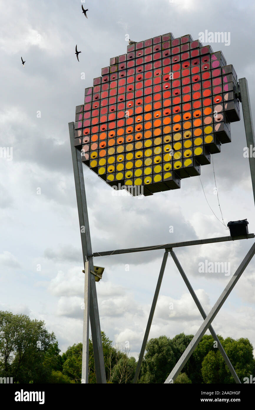 Torre di Swift con scatole di nido per un massimo di 100 coppie di rondoni comune (Apus apus) progettato come un appalto pubblico di lavori d'arte a guardare come un sole di setting, rondoni con battenti overhead, Logan's Prato natura locale riserva, Cambridge, UK, Luglio. Foto Stock
