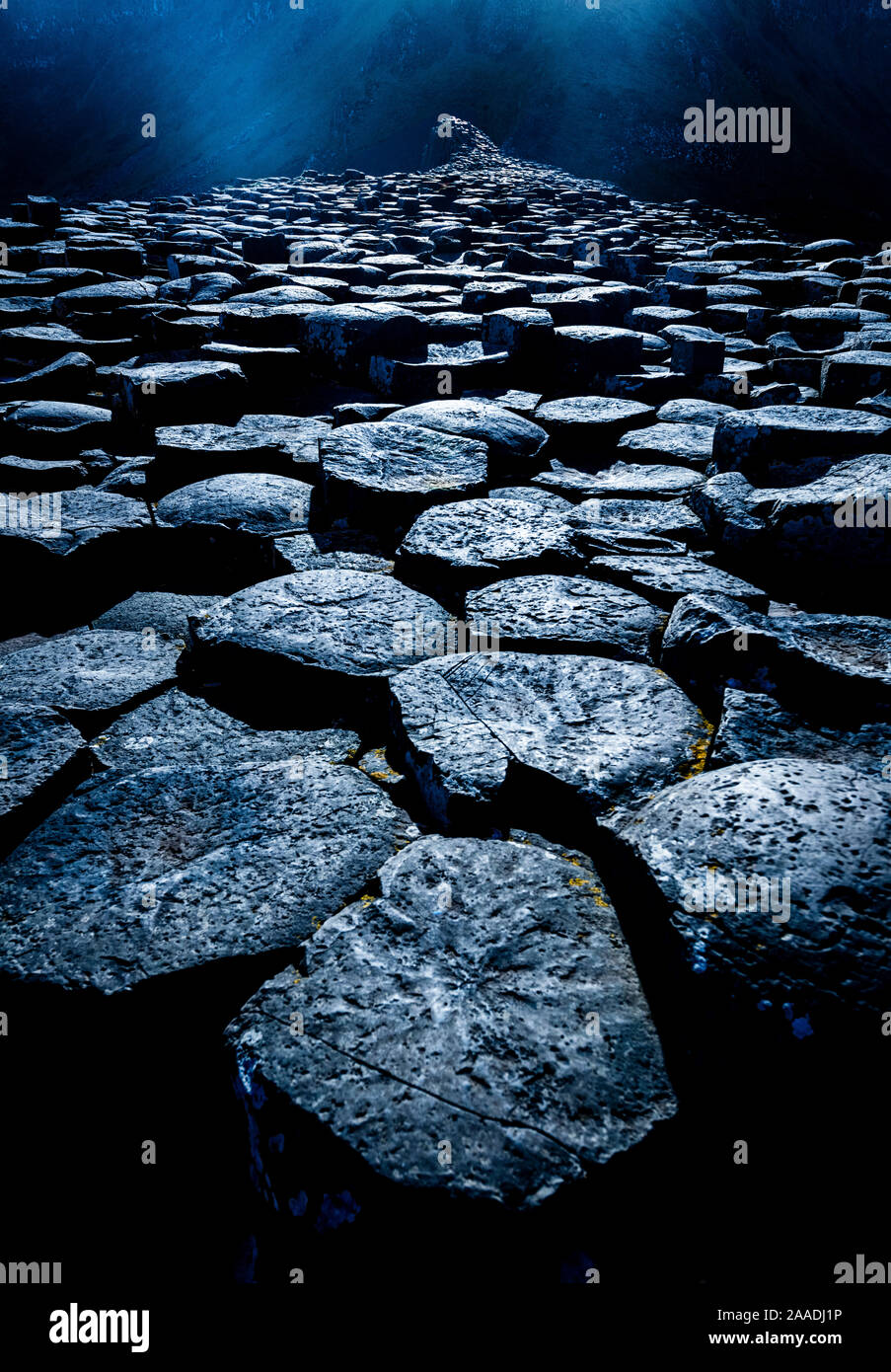 Giants Causeway di notte illuminata dalla luna piena. Contea di Antrim, Irlanda del Nord. Vincitore della categoria Paesaggi di GDT European Wildlife Photographer of the Year 2017. Foto Stock