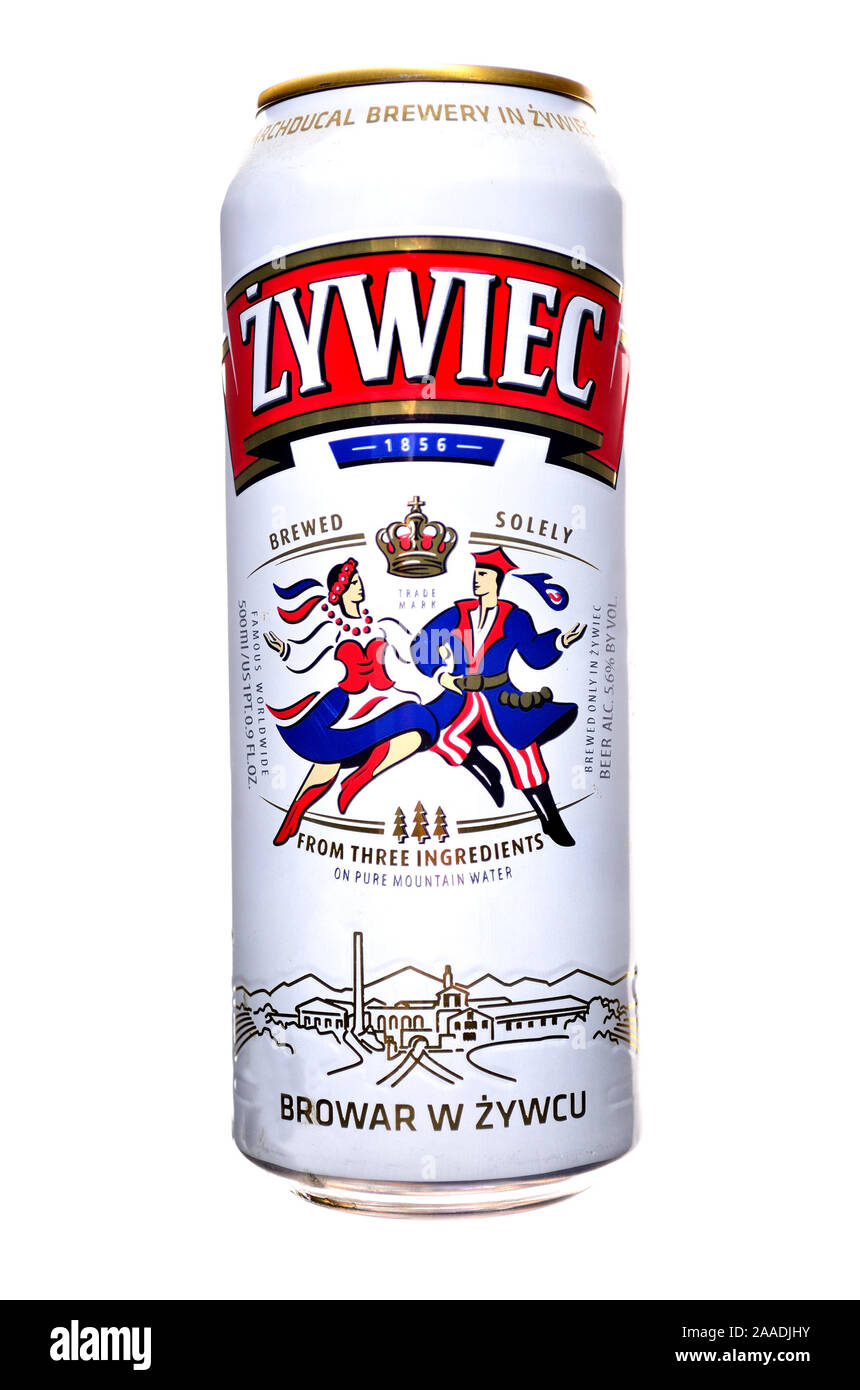 Lucidare la birra può - Zywiec lager Foto Stock