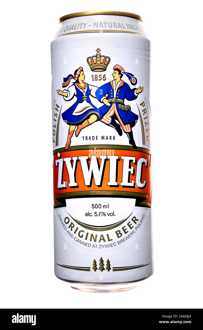 Lucidare la birra può - Zywiec lager Foto Stock