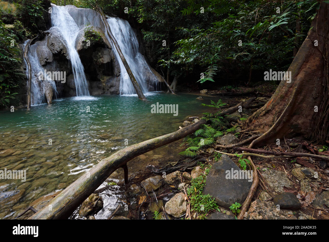 Cascata nella foresta pluviale, Batenta Isola, Raja Ampat, Papua Occidentale, Indonesiano Nuova Guinea Foto Stock