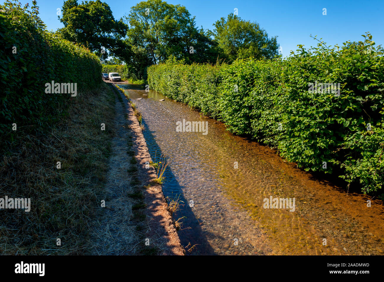 La lunga ford su Knowle Lane, Wookey. Dove il fiume Ax scorre verso il basso lungo la strada per oltre 100 metri Foto Stock