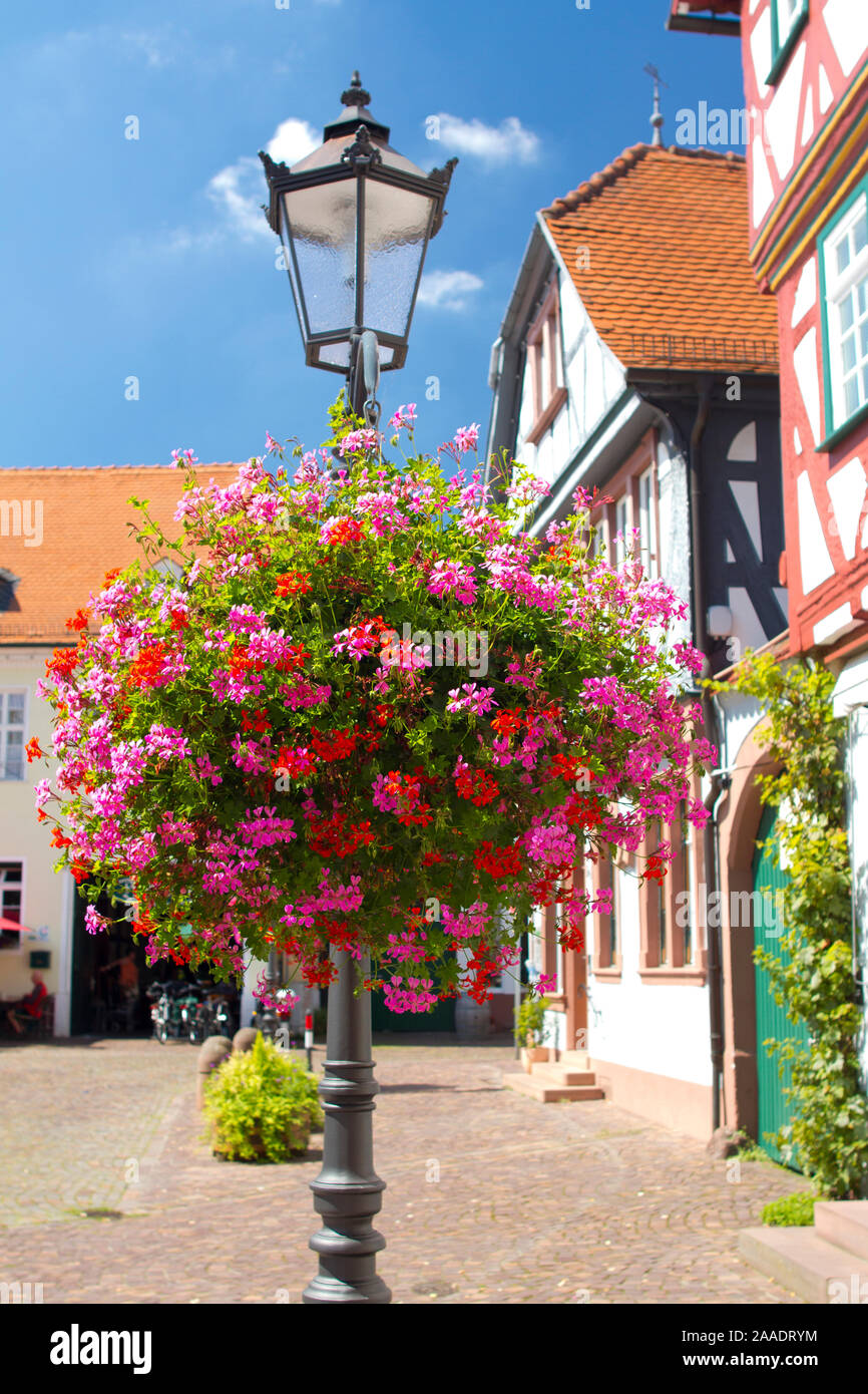 Deutschland,Hessen,Seligenstadt,Fachwerk Am Marktplatz Foto Stock