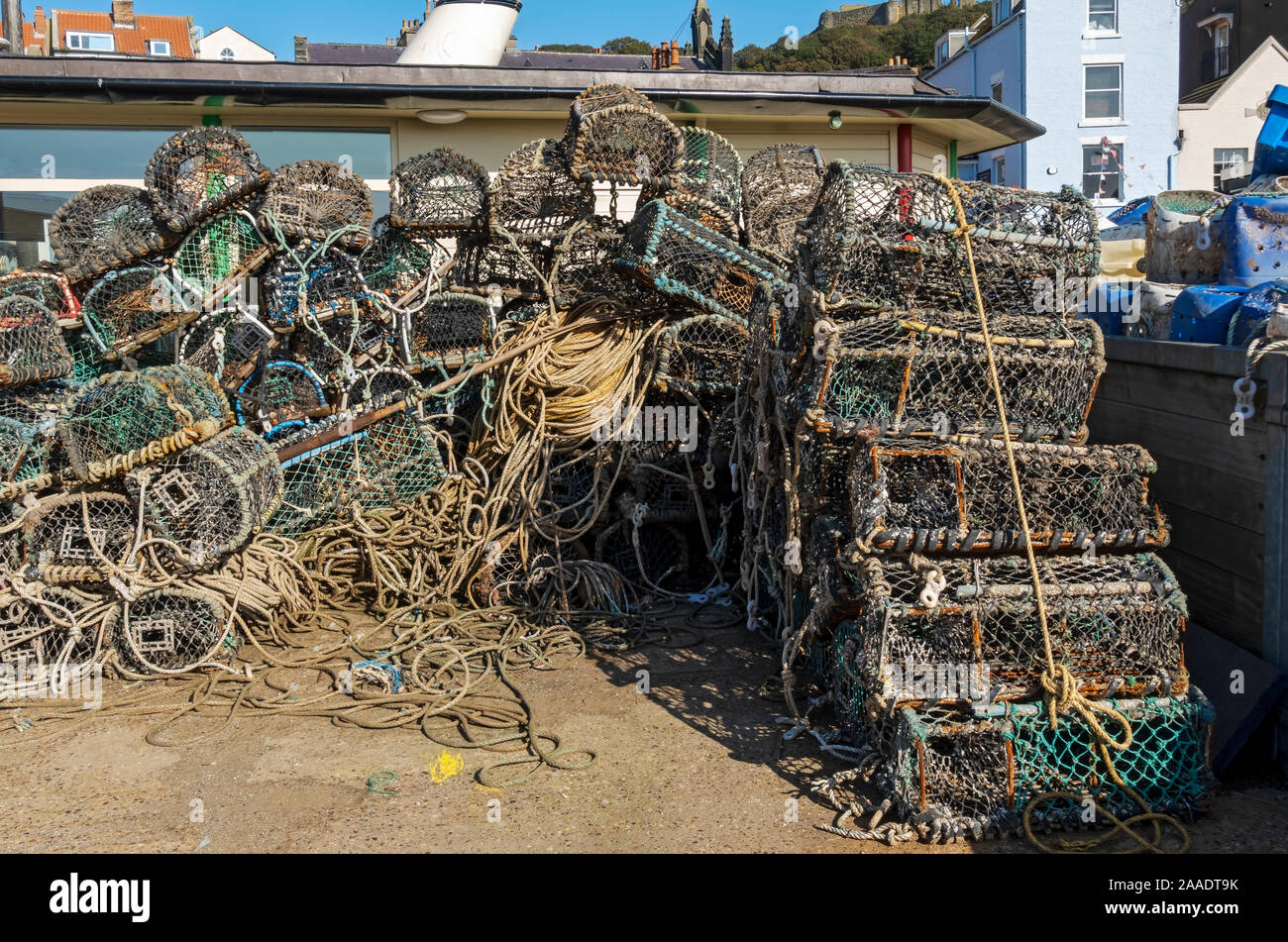 Pile di aragosta e granchi, pesca marina in vaso sul molo di Scarborough Harbour North Yorkshire Inghilterra Regno Unito Gran Bretagna Foto Stock