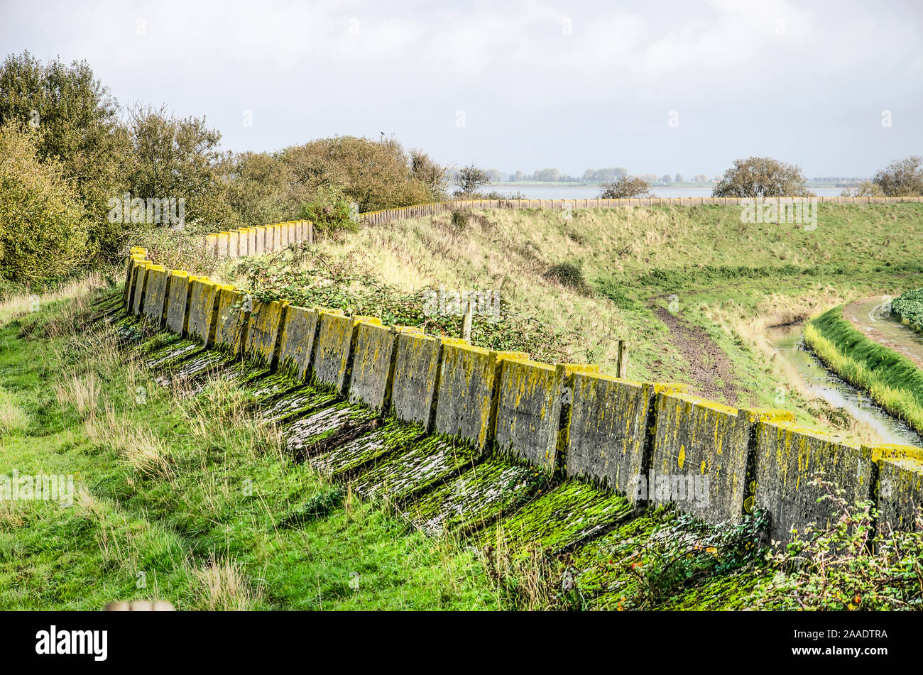 Dicco erbosa sulla costa nord dell'isola di Schouwen-Duiveland, Paesi Bassi con il calcestruzzo stagionato della ex per la difesa del mare Foto Stock