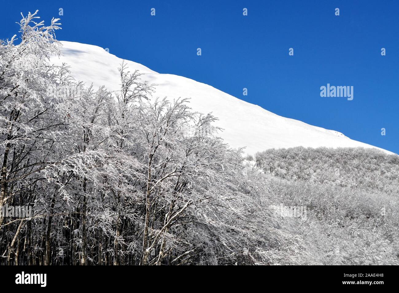 La montagna e la foresta sono coperti da una coltre bianca della neve Foto  stock - Alamy