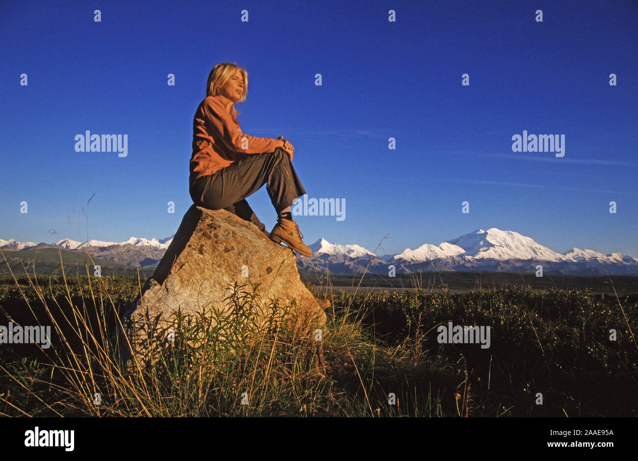 Wandern durch den Denali N.P. mit dem Mt. McKinley im Hintergrund - Alaska Foto Stock