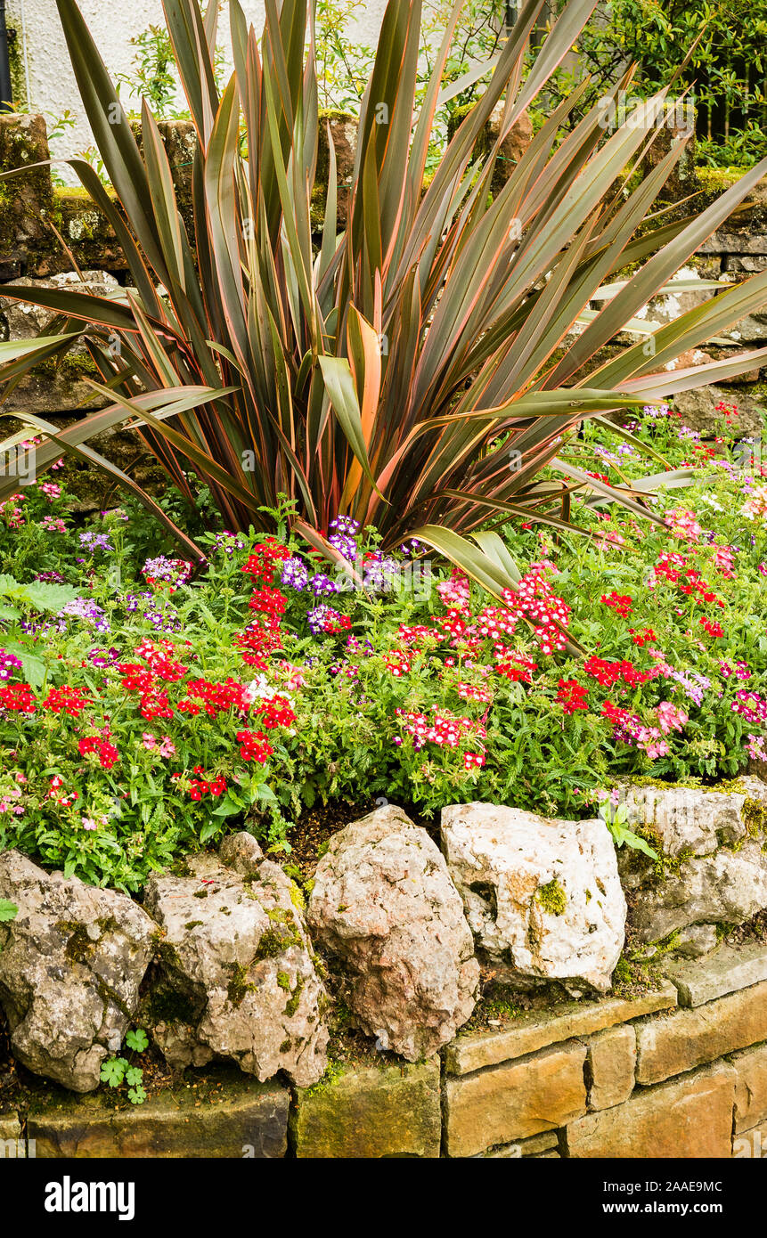 Un Phormium e biancheria verbenas costituiscono la principale attrazione di questa cornice in rilievo trattenuto da quarzo naturale delle pietre al di sopra di un blocco di pietra di fissaggio a parete Foto Stock