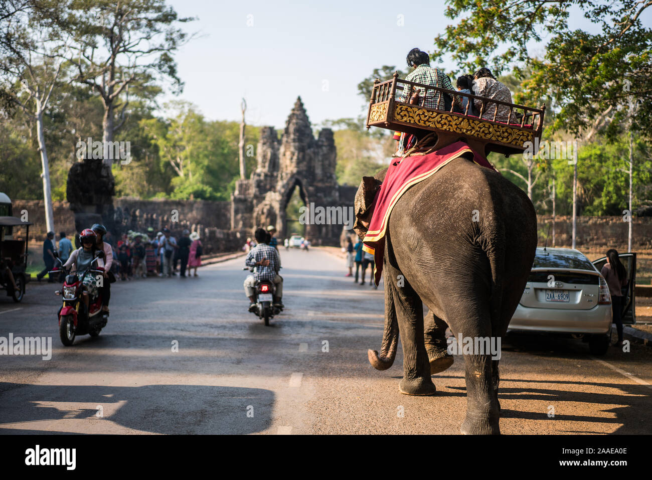 Turisti dell'elefante in formt di Tonle Om Gate, Cancello Sud Angkor Thom, Cambogia, in Asia. Foto Stock