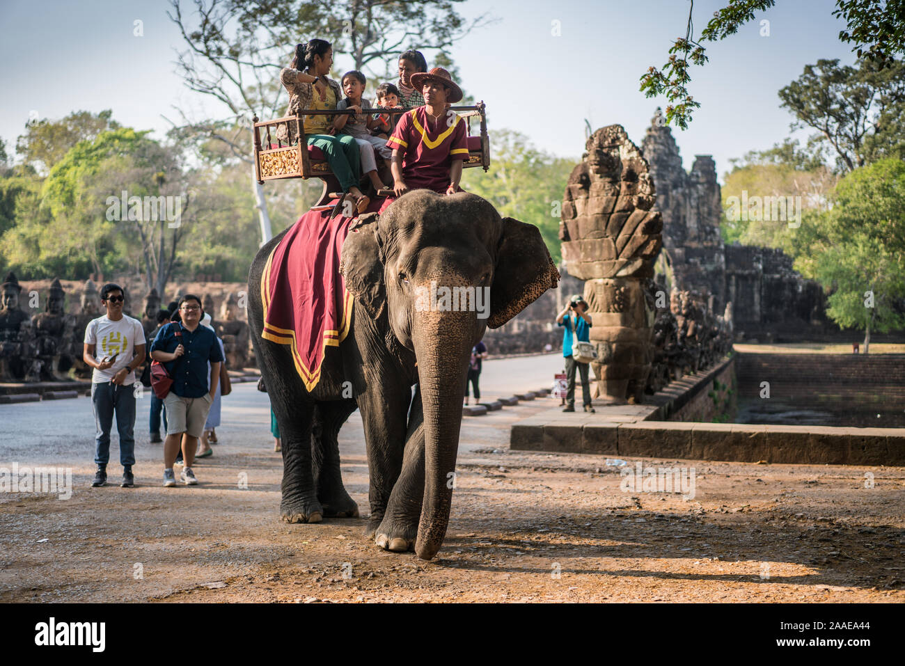 Turisti dell'elefante in formt di Tonle Om Gate, Cancello Sud Angkor Thom, Cambogia, in Asia. Foto Stock