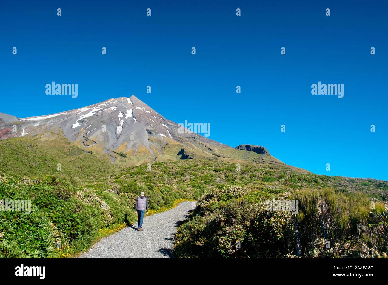 L'uomo escursionismo in Mount Taranaki, Egmont National Park, vicino a Stratford, costa ovest dell'Isola del nord, Nuova Zelanda Foto Stock