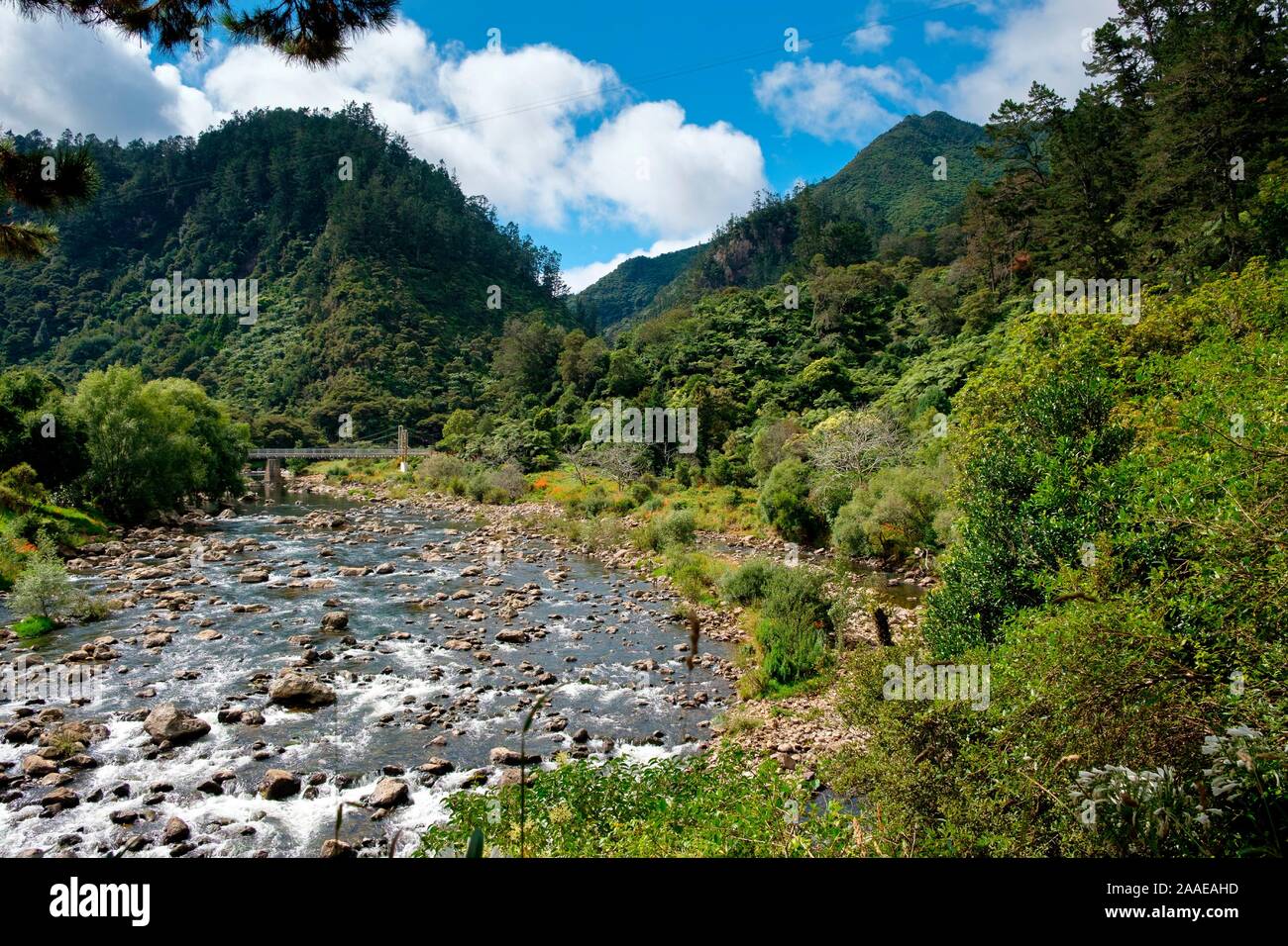 Karangahake Gorge Ricreazione percorso sul fiume Ohinemuri, vicino Waihi, Baia di Planty, Isola del nord, Nuova Zelanda Foto Stock