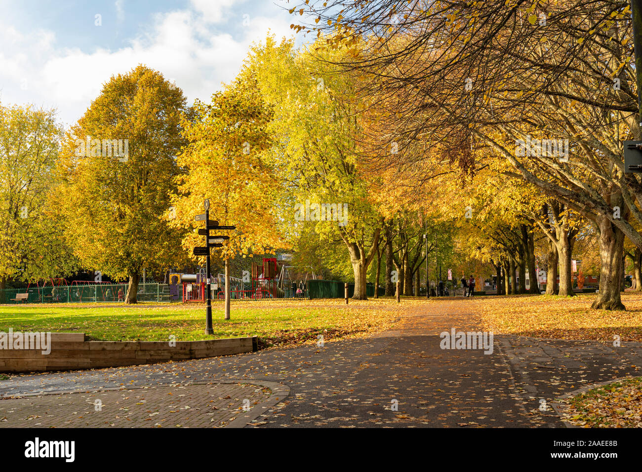 I colori dorati autunnali degli alberi nel parco cittadino di Trowbridge, Wiltshire, Inghilterra, Regno Unito Foto Stock