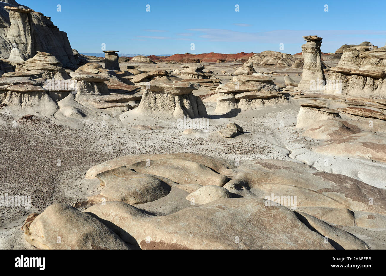 Bisti Badlands De-Na-Zin formazioni rocciose nel Nuovo Messico, STATI UNITI D'AMERICA Foto Stock