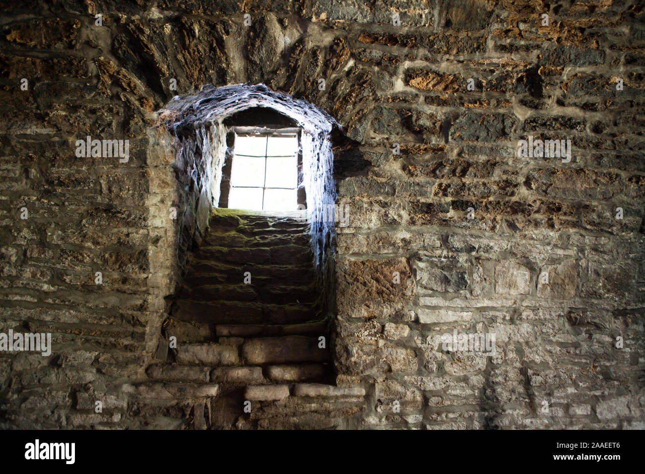 Una cantina di un vecchio castello, Germania, Europa Foto Stock