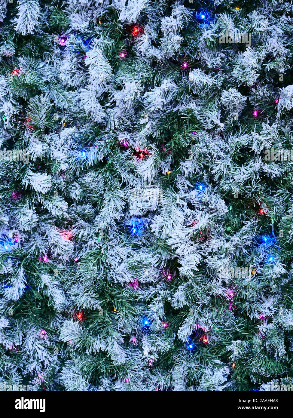 Decorazione di Natale con foglie di pino verde, neve bianca e luci blu, rosa e viola visto a Londra, Regno Unito alla fine di novembre 2019. Foto Stock