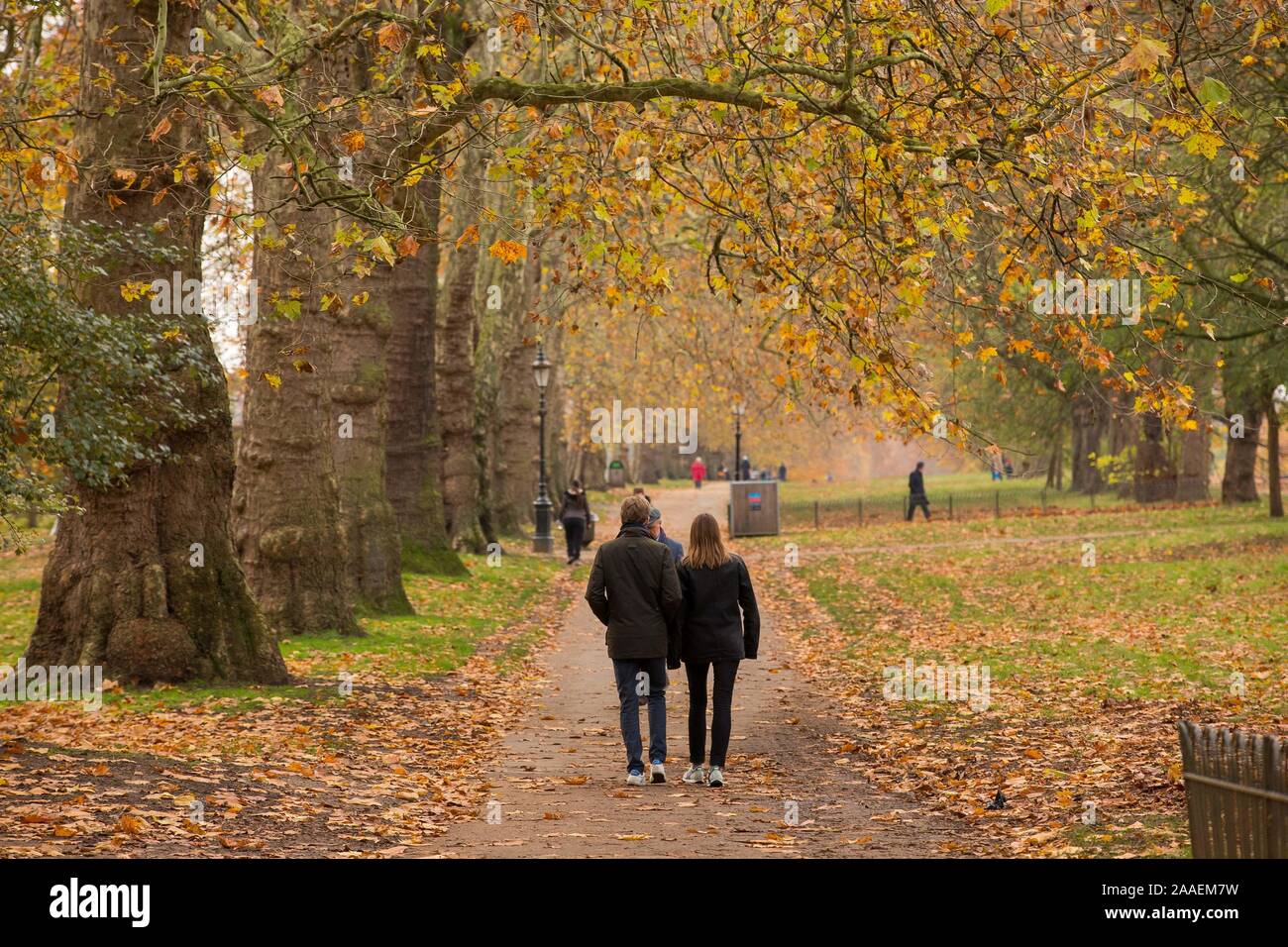 Walkers a Hyde Park passano sotto il baldacchino dorato di foglie autunnali. Foto Stock