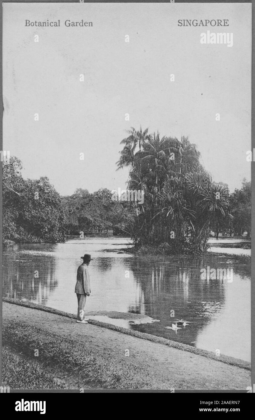 Cartolina inciso di un uomo che indossa un vestito e un cappello in piedi da un laghetto al Singapore Botanic Gardens, pubblicato da G.R, 1910. Lambert e Co. Dalla Biblioteca Pubblica di New York. () Foto Stock