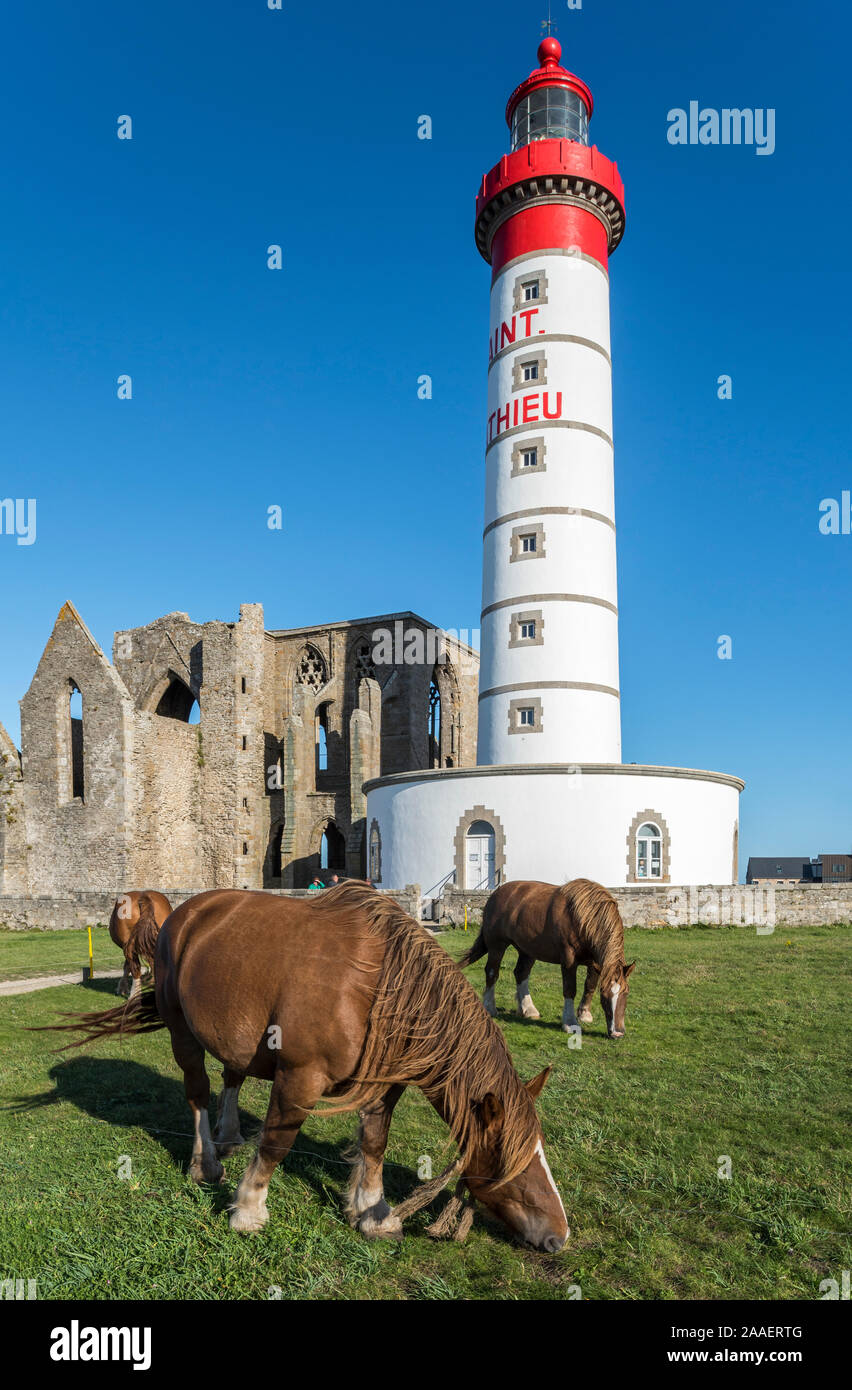 Il Pointe Saint Mathieu con il suo faro e le rovine dell'abbazia a Plougonvelin, Finistère Bretagna, Francia Foto Stock