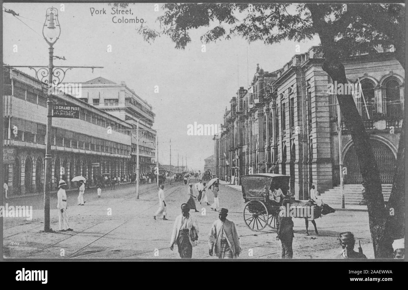 Incisi cartolina commerciale York Street in Colombo, Sri Lanka (ex Ceylon), pubblicato da A.W.A. Piastra e Co, 1912. Dalla Biblioteca Pubblica di New York. () Foto Stock