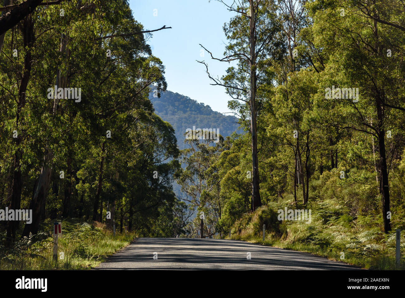 La Strada alpina avvolgimento attraverso le montagne innevate di Australia in estate Foto Stock