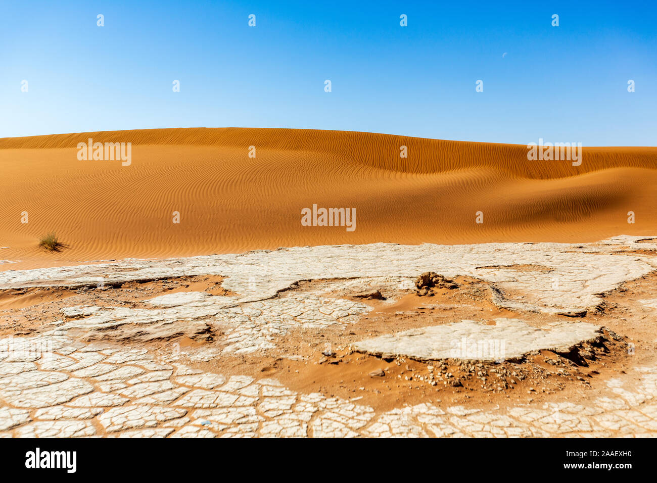 Dune di sabbia rossa in Deadvlei, Sossusvlei, Namib-Naukluft National Park, Namibia, Africa Foto Stock