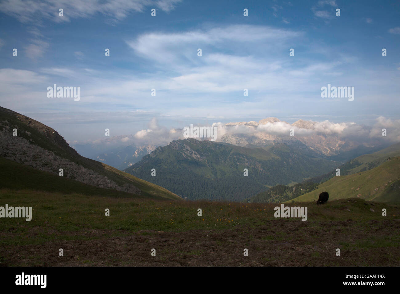 Panorama montano visto dal Friedrich August Weg vicino a Selva le Dolomiti Alto Adige Italia Foto Stock