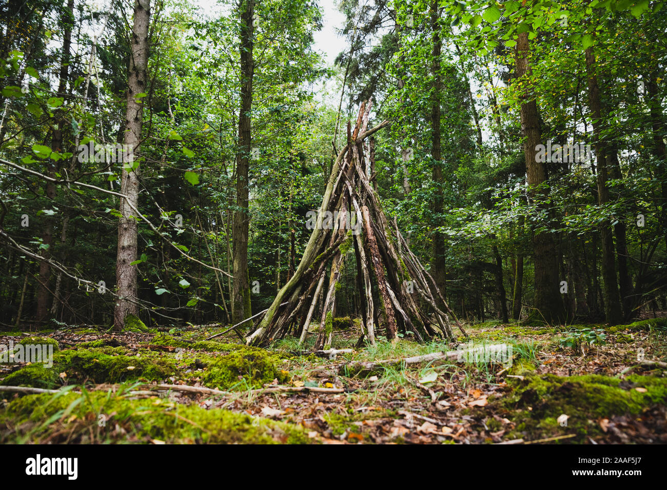 Bush craft / rifugio di sopravvivenza: primitiva costruzione rifugio in un ambiente selvaggio ambiente forestale. Protezione di base in una situazione di emergenza. Attività divertente. Foto Stock