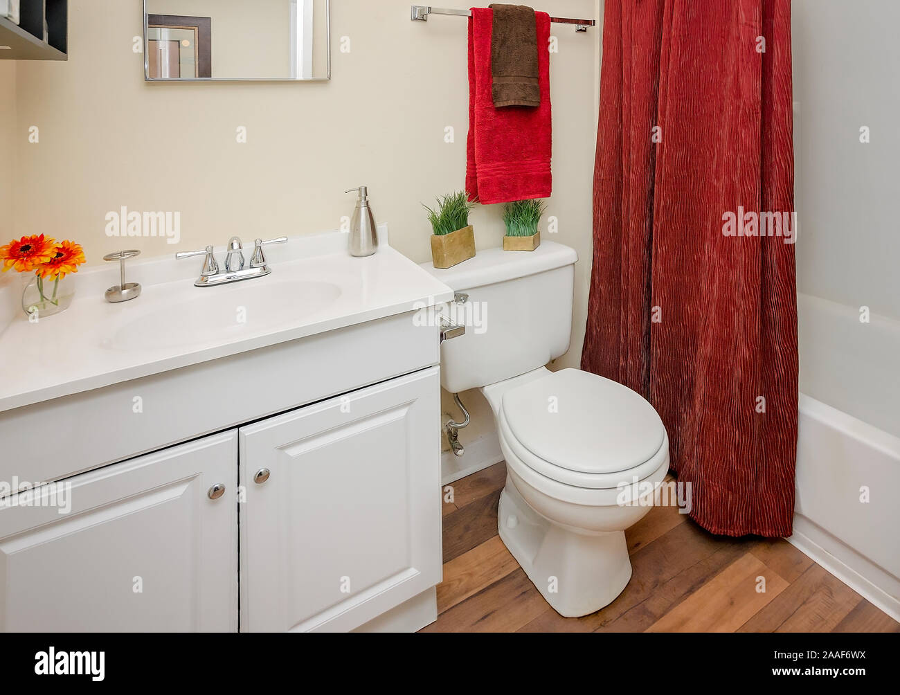 Il bagno è raffigurato al Four Seasons apartments in Mobile, Alabama. Il complesso di appartamenti è di proprietà e gestito da Sealy Società di gestione. Foto Stock