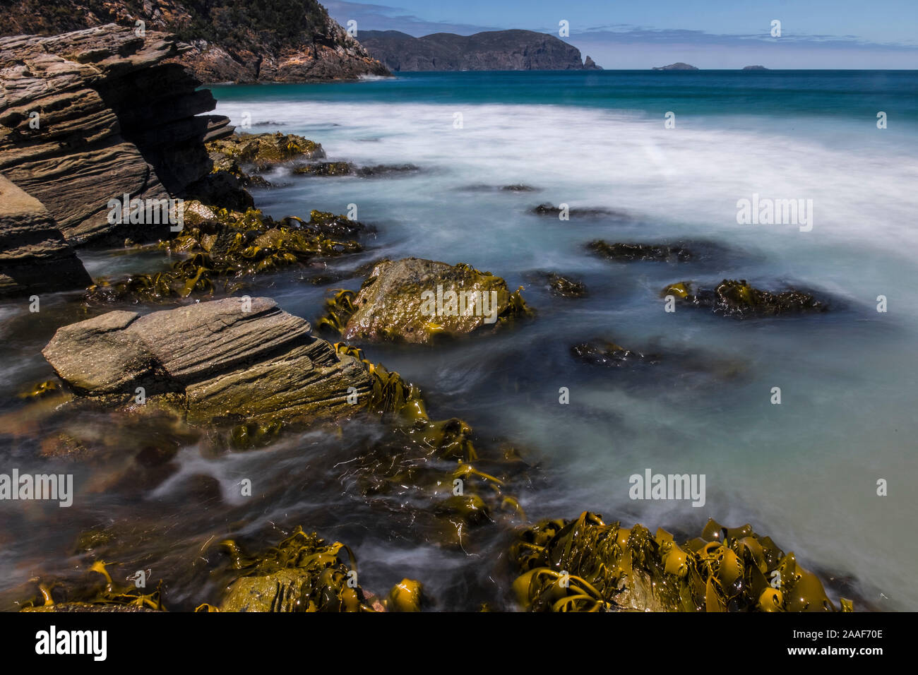 Spiaggia rocciosa dettaglio a Cape Bruny, Tasmania Foto Stock