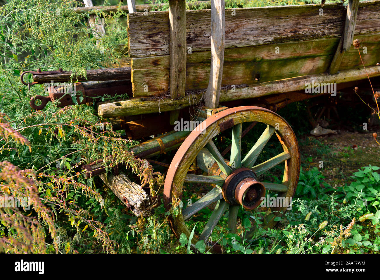 Vecchio rustico in legno fatiscente farm carro ricoperta in campo Foto Stock