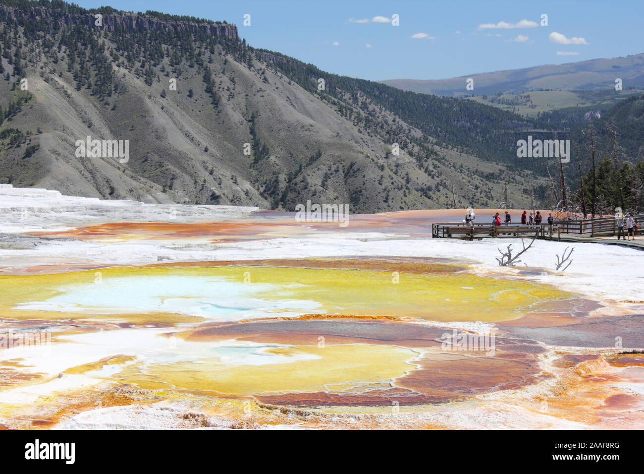 Una vista del lago e delle piscine di primavera nel Parco Nazionale di Yellowstone Foto Stock