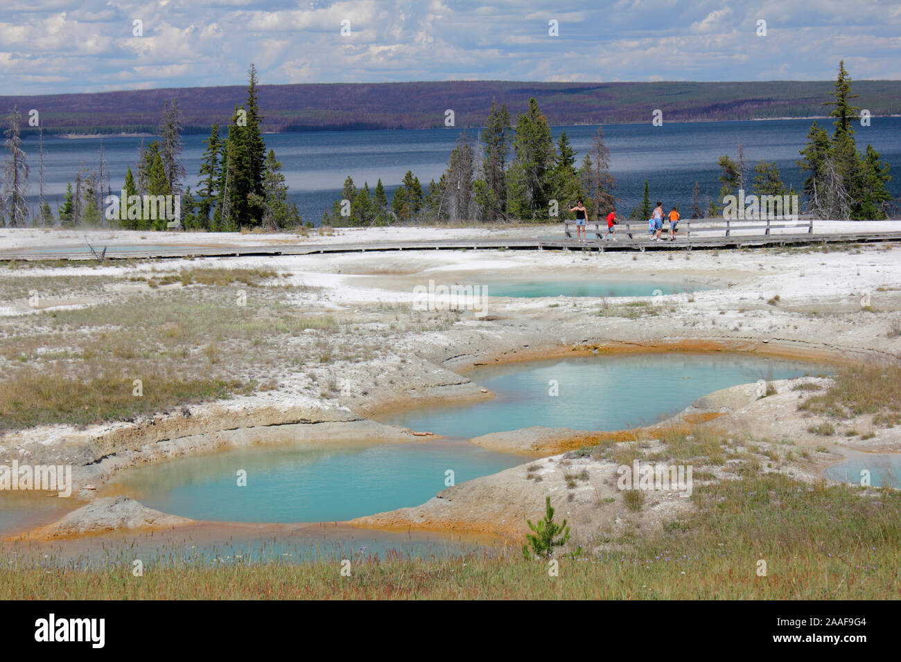 Una vista del lago e delle piscine di primavera nel Parco Nazionale di Yellowstone Foto Stock