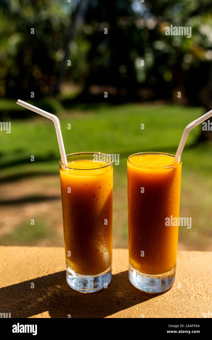 Due bicchieri di spremuta di succo di mango su uno sfondo di un giardino tropicale. Foto Stock