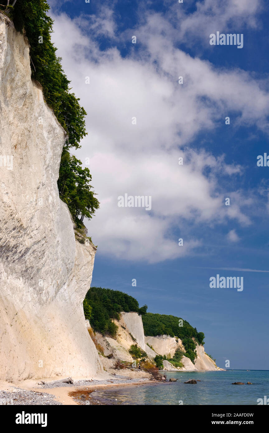 Kreidefelsen auf Ruegen, Mecklenburg-Vorpommern Foto Stock