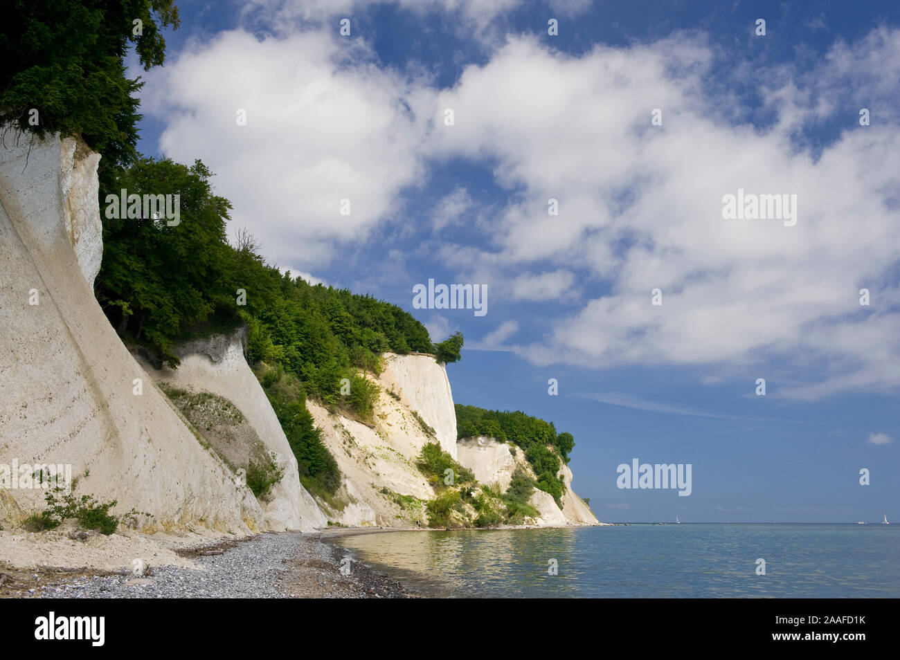 Kreidefelsen auf Ruegen, Mecklenburg-Vorpommern Foto Stock