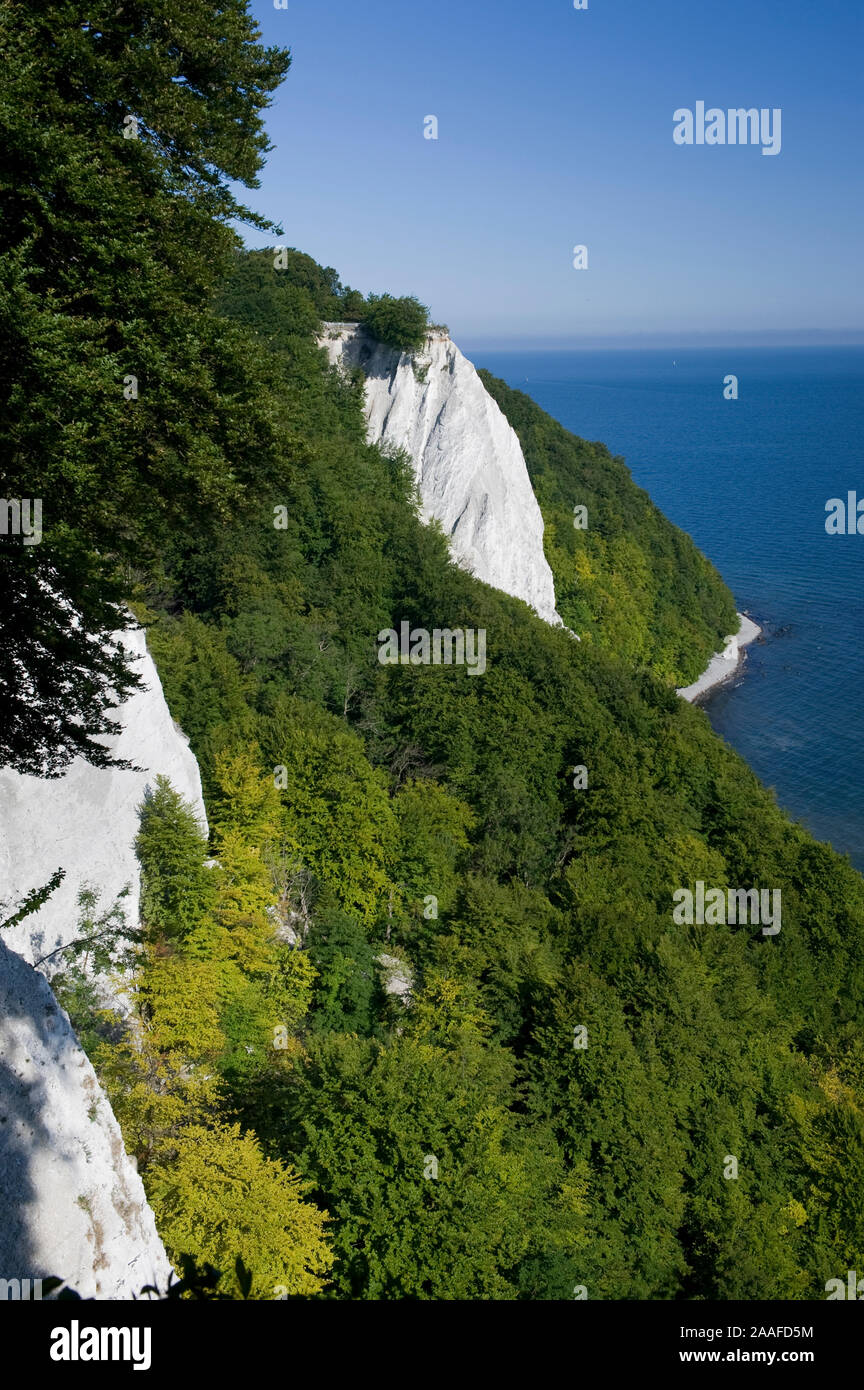 Kreidefelsen auf Ruegen, Mecklenburg-Vorpommern Foto Stock
