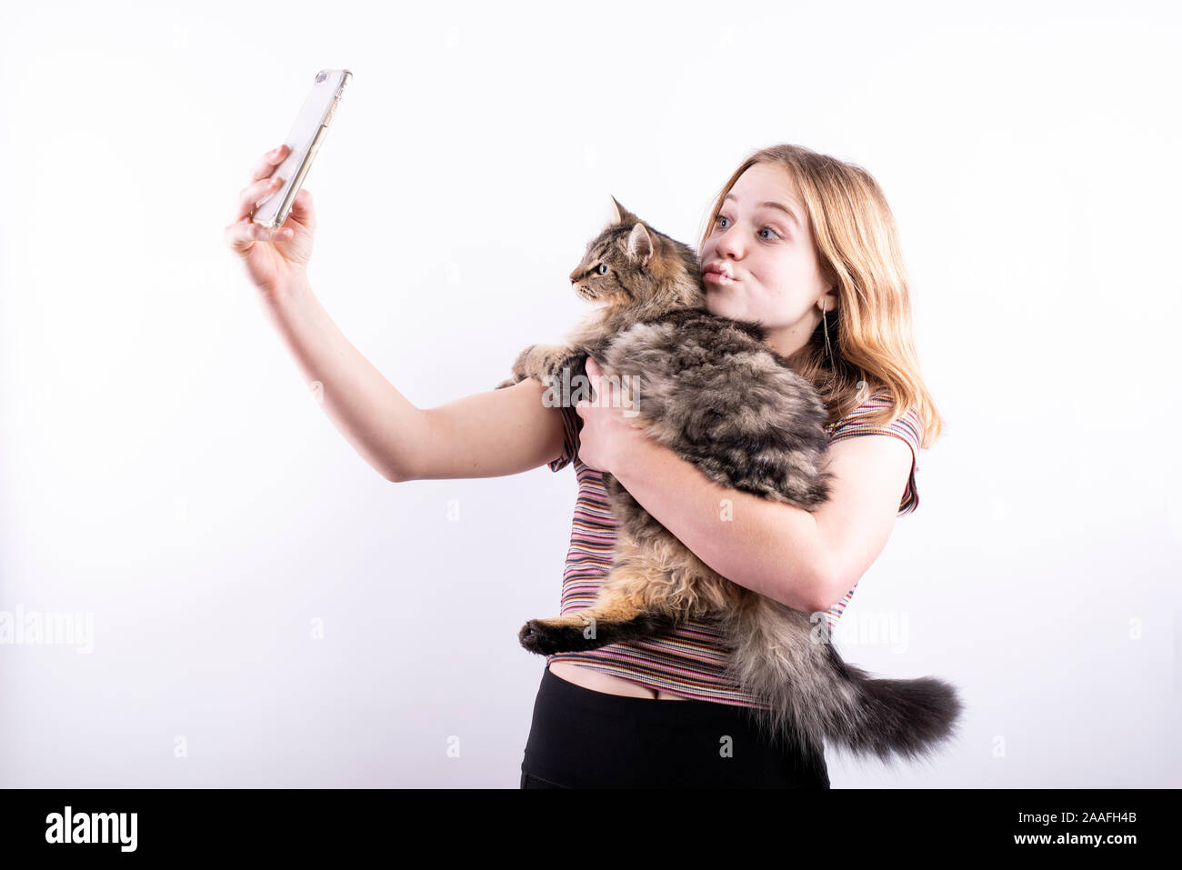 Caucasian ragazza adolescente che indossa un rigato orizzontale T-shirt prendendo un selfie di se stessa e di un soffice gatto con uno smartphone contro uno sfondo bianco Foto Stock