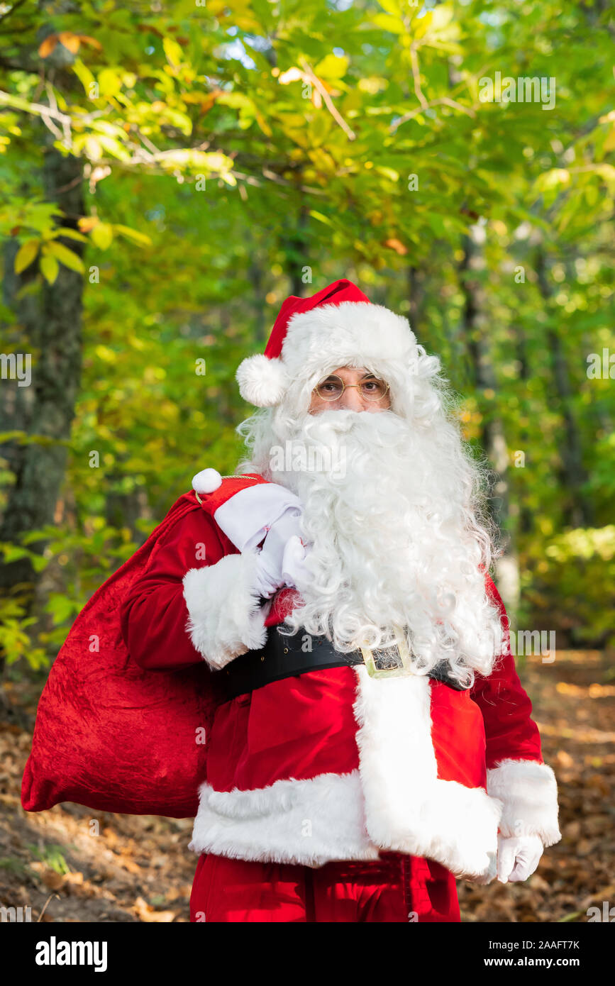Babbo Natale con sacchetto rosso nella foresta con copia spazio per il testo Foto Stock