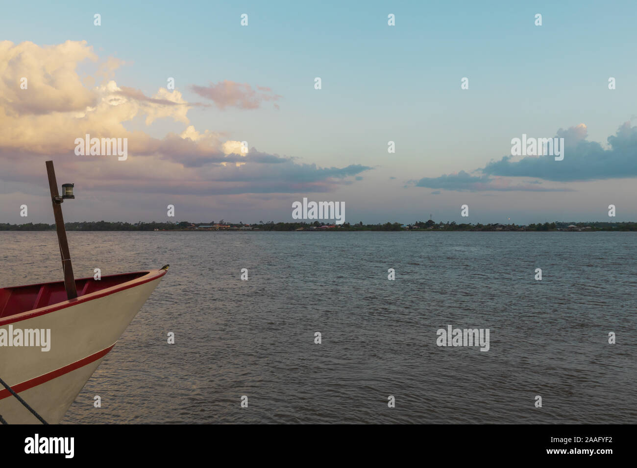 Bird sul bordo della barca sul fiume Suriname, Sud America Foto Stock