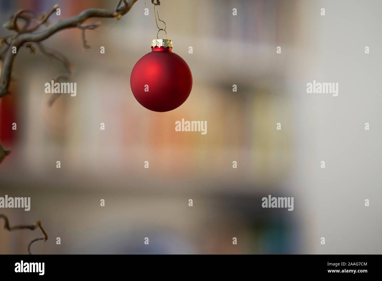 Close up di rosso decorazione di Natale presso una filiale di fronte unsharp sfondo Foto Stock