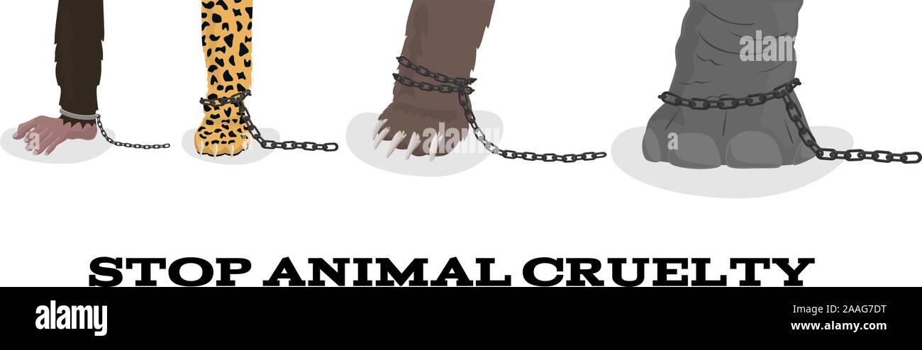 Fermare la crudeltà sugli animali con elefante bear leopard scimmia in catene - vettore raggruppate Illustrazione Vettoriale