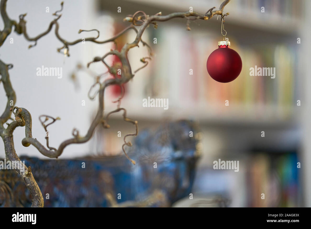 Close up di rosso palla di Natale presso una filiale di fronte unsharp sfondo di scaffale Foto Stock