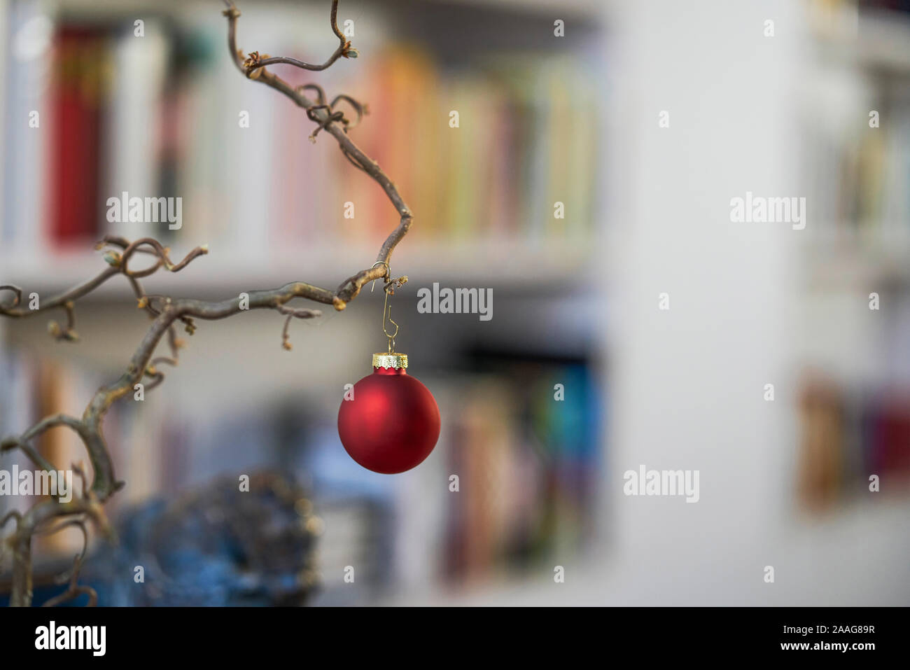 Close up di rosso palla di Natale presso una filiale di fronte unsharp sfondo di scaffale e mobili Foto Stock
