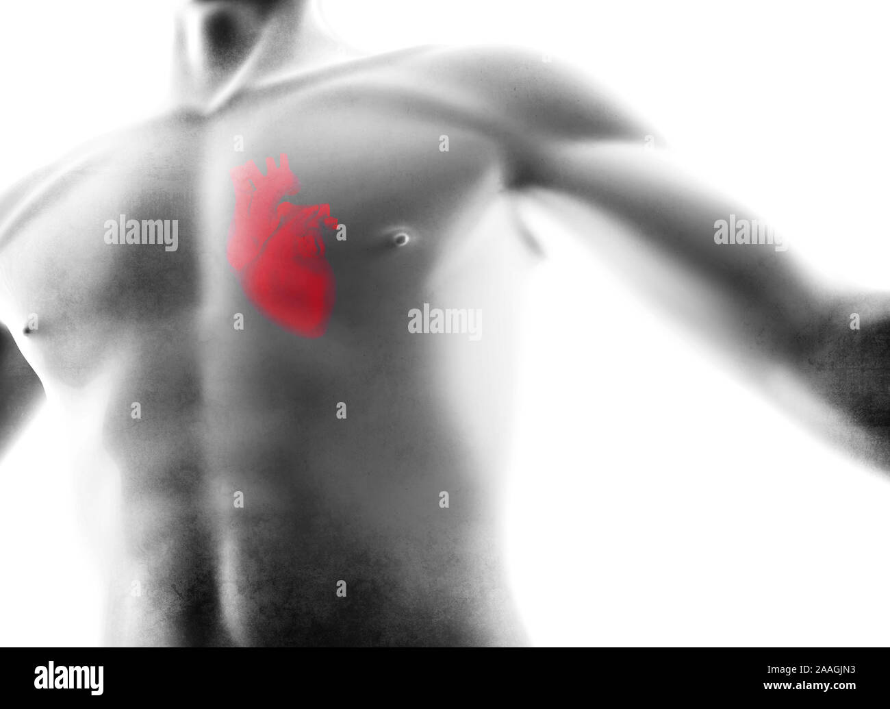 Corpo umano - uomo corpo - modello isolato - 3D render Foto Stock