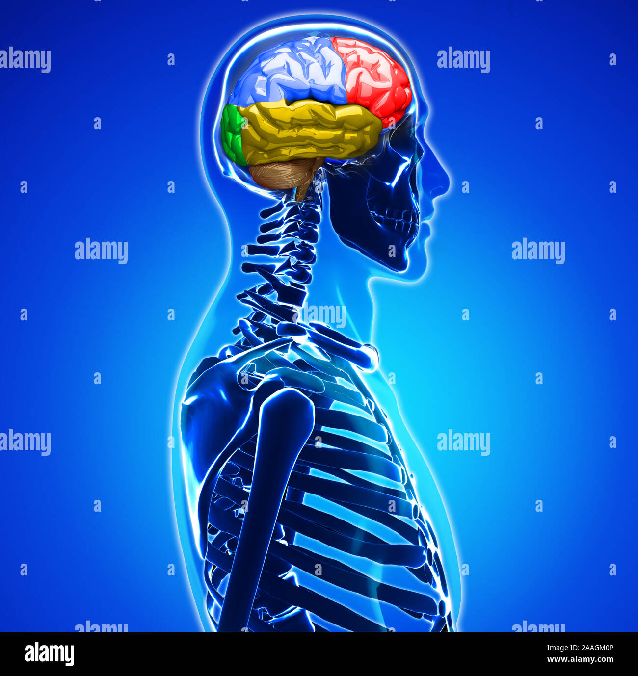 Cervello e gli impulsi di processo di simulazione del pensiero umano - 3D render concept Foto Stock