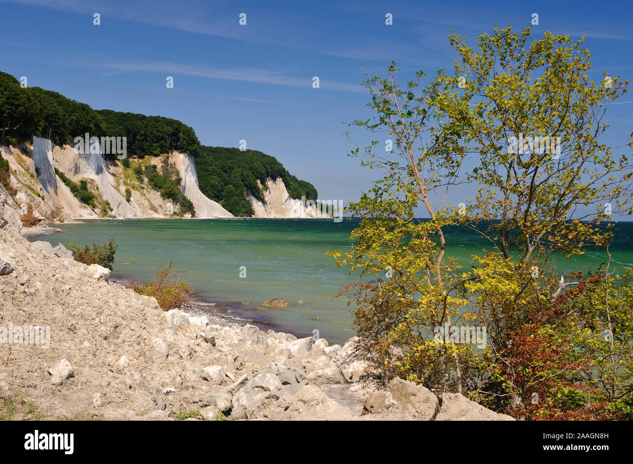 Kreidefelsen auf Ruegen, Mecklenburg-Vorpommern Foto Stock